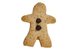 Gingy Snap